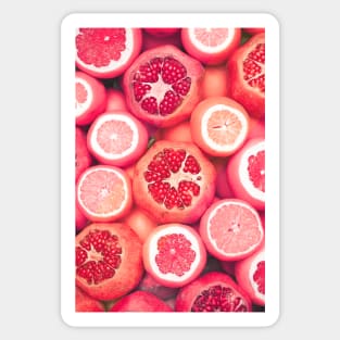 Colorful Citrun Fruits Sticker